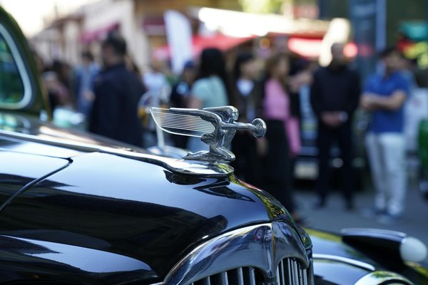 Welche MotorrÃ¤der sind fÃ¼r AnfÃ¤nger am besten geeignet?